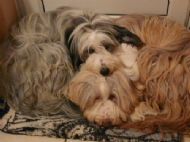Just caught these photos as they were sleeping